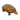 Vintage Turtle